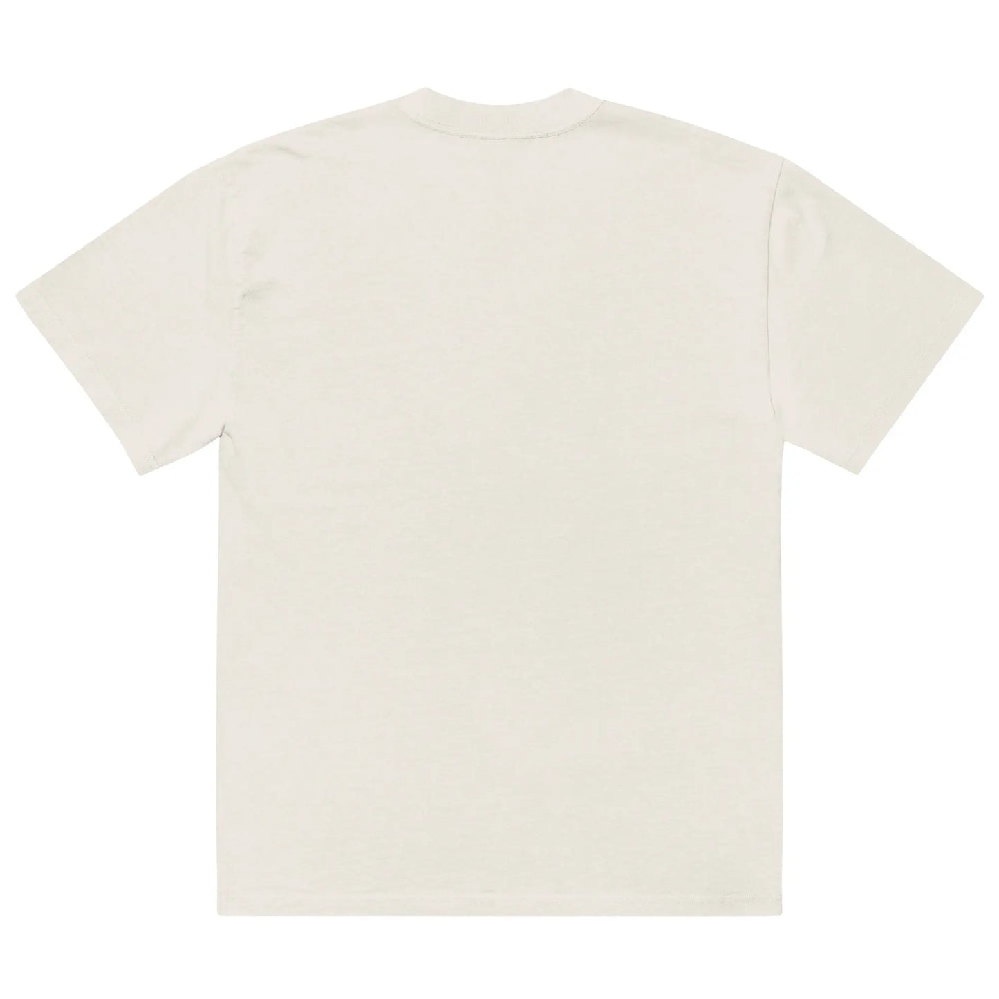 Oversized faded t-shirt - Supreme Divinity