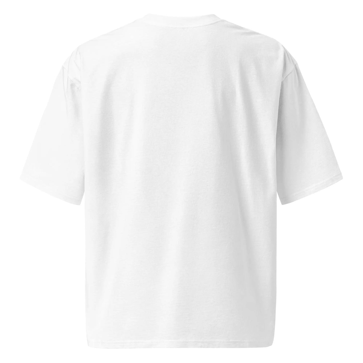 Oversized heavyweight t-shirt Supreme Divinity